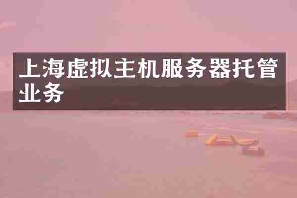 上海虚拟主机服务器托管业务