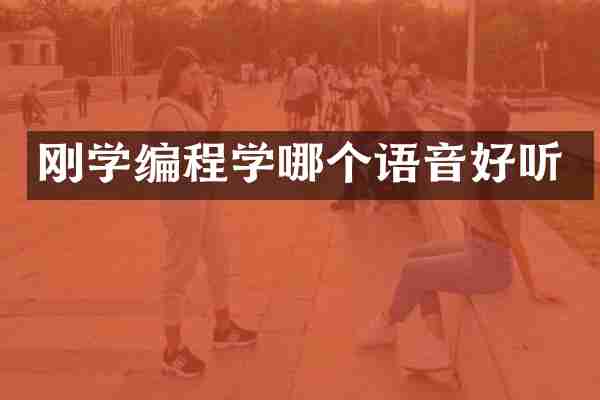 刚学编程学哪个语音好听