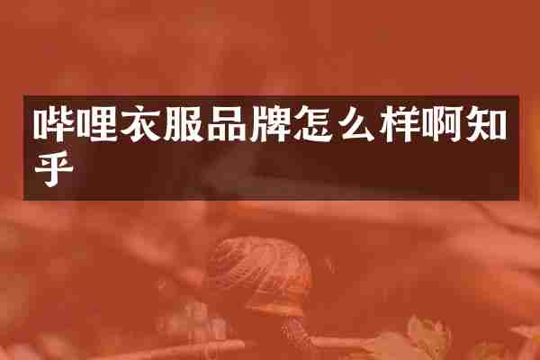 哔哩衣服品牌怎么样啊知乎