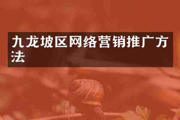 九龙坡区网络营销推广方法