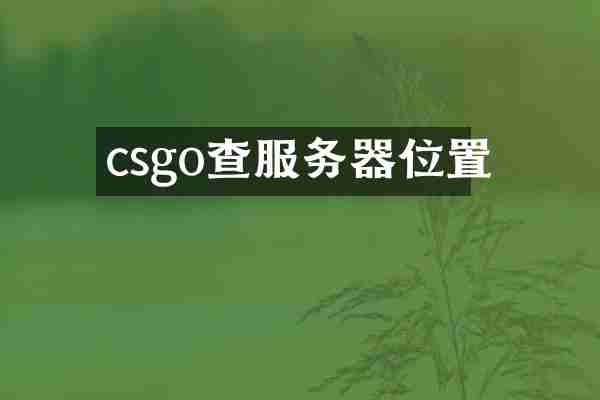 csgo查服务器位置
