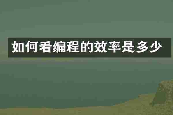 如何看编程的效率是多少