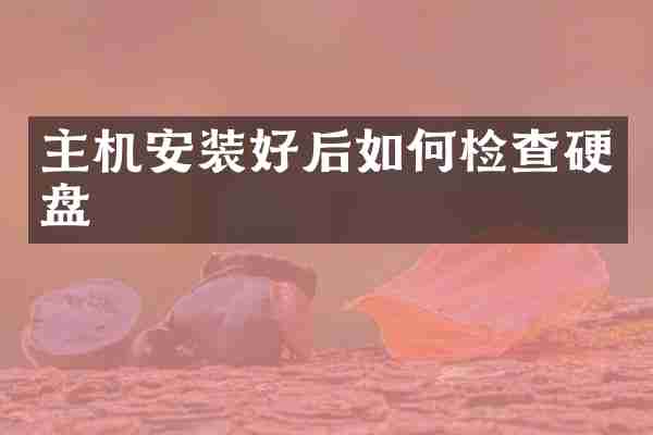 主机安装好后如何检查硬盘