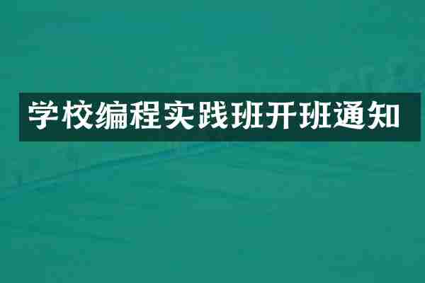 学校编程实践班开班通知