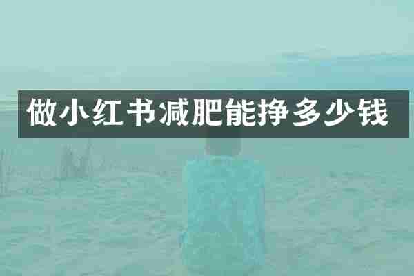 做小红书减肥能挣多少钱
