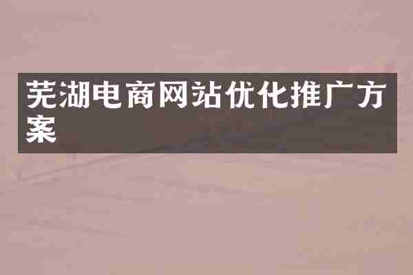 芜湖电商网站优化推广方案