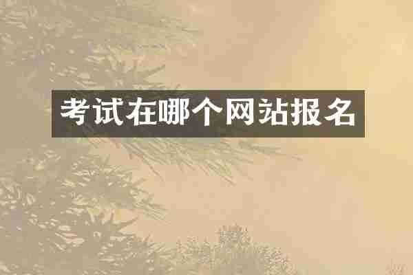 考试在哪个网站报名