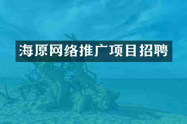 海原网络推广项目招聘