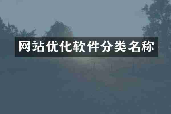 网站优化软件分类名称