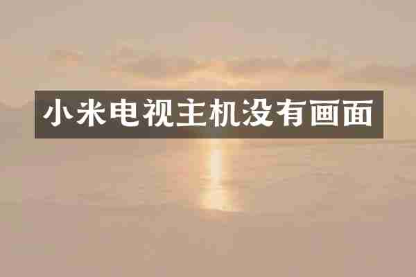 小米电视主机没有画面