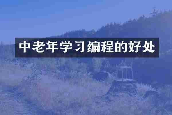 中老年学习编程的好处