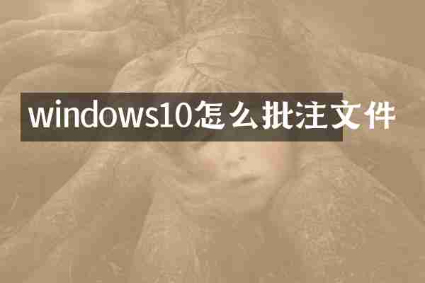 windows10怎么批注文件