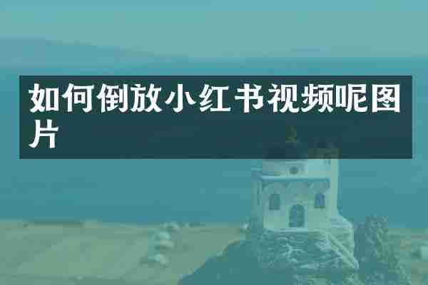 如何倒放小红书视频呢图片
