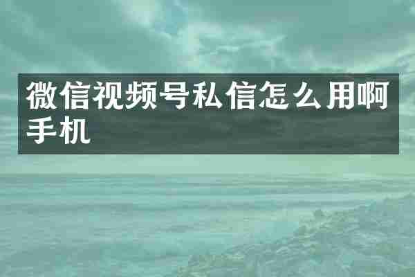 微信视频号私信怎么用啊手机