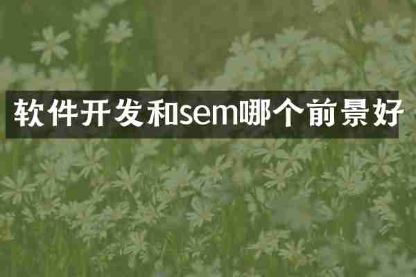 软件开发和sem哪个前景好