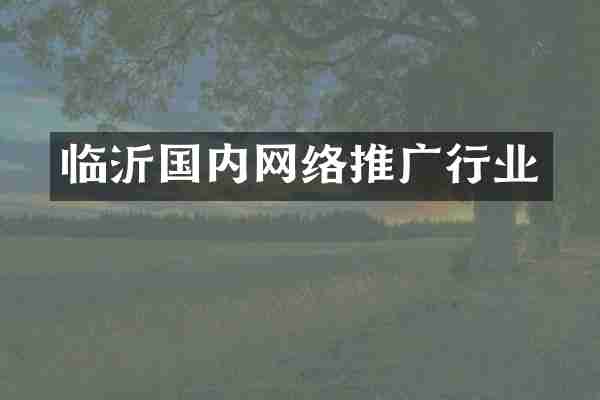 临沂国内网络推广行业