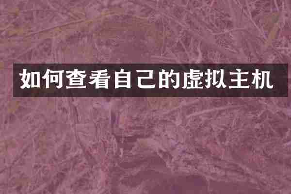 如何查看自己的虚拟主机