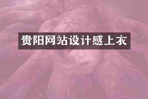 贵阳网站设计感上衣