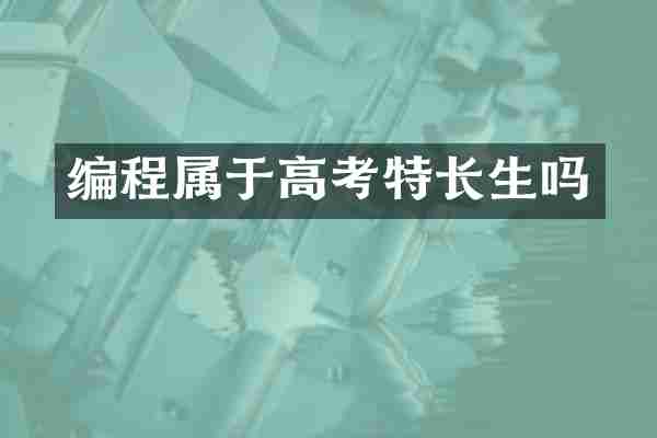 编程属于高考特长生吗