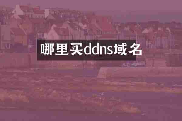 哪里买ddns域名