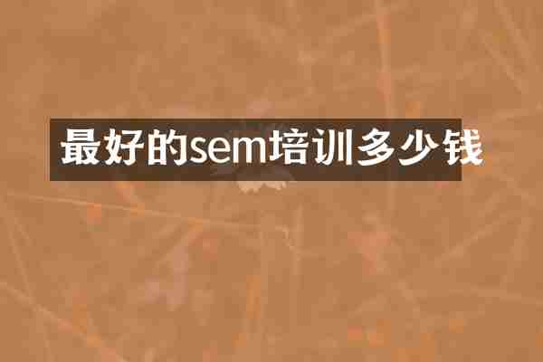 最好的sem培训多少钱