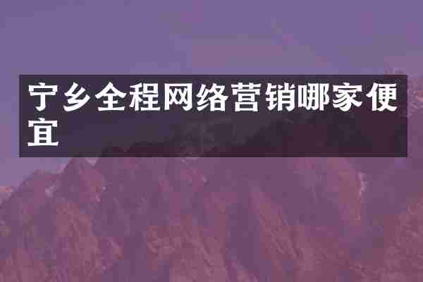宁乡全程网络营销哪家便宜