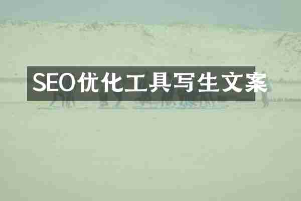 SEO优化工具写生文案