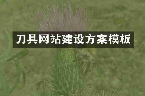 刀具网站建设方案模板