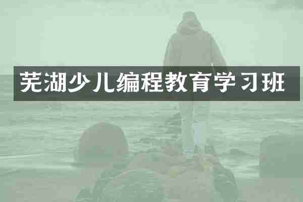 芜湖少儿编程教育学习班