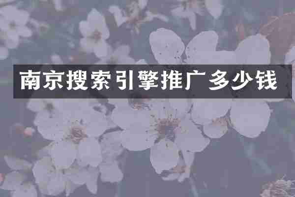 南京搜索引擎推广多少钱