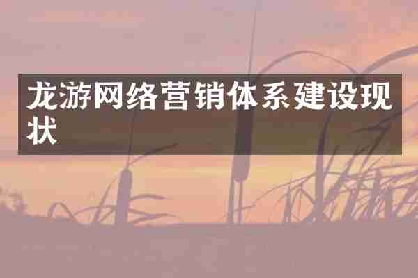 龙游网络营销体系建设现状