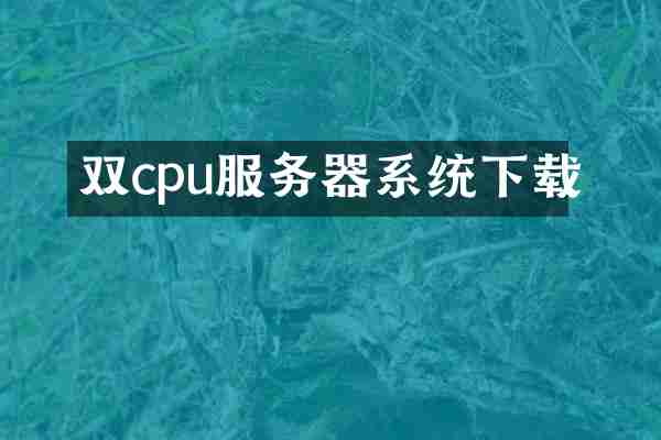 双cpu服务器系统下载