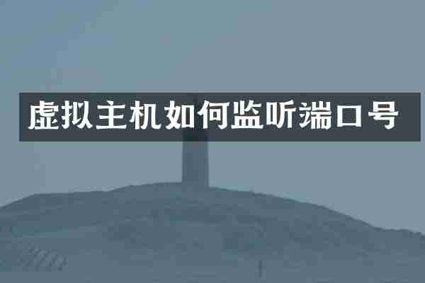 虚拟主机如何监听端口号