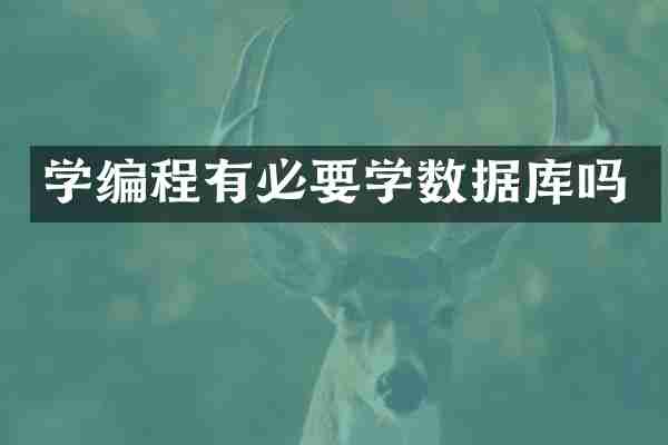 学编程有必要学数据库吗