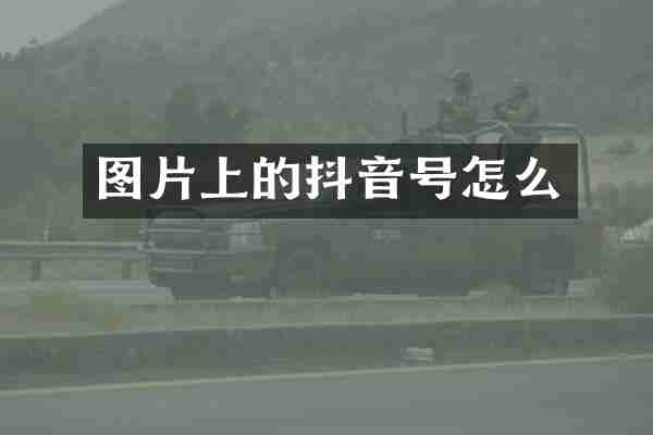图片上的抖音号怎么
