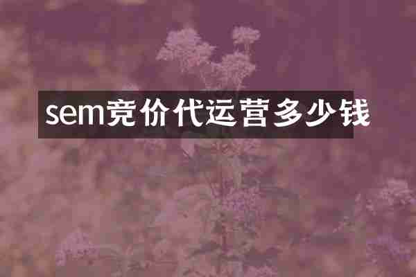 sem竞价代运营多少钱