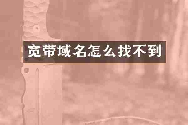 宽带域名怎么找不到
