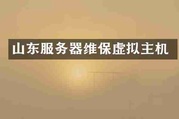 山东服务器维保虚拟主机