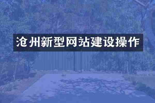 沧州新型网站建设操作