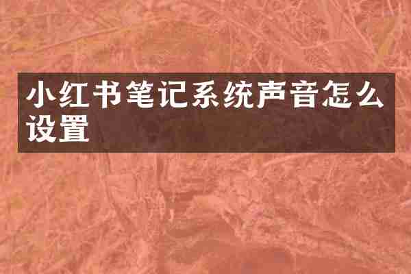 小红书笔记系统声音怎么设置