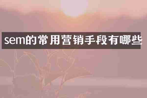 sem的常用营销手段有哪些