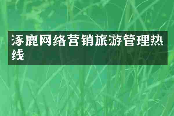 涿鹿网络营销旅游管理热线
