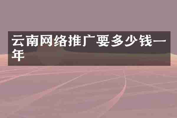 云南网络推广要多少钱一年