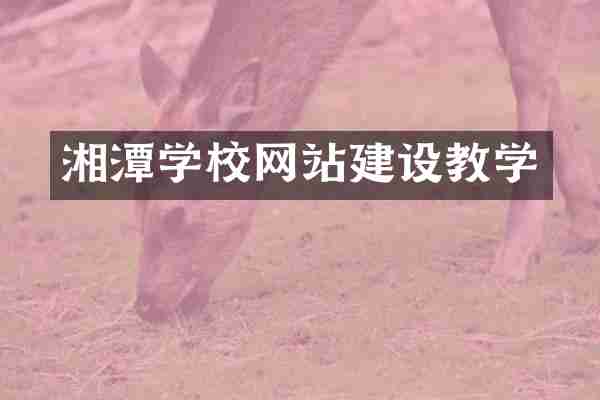湘潭学校网站建设教学