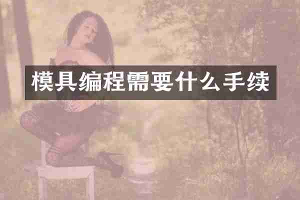 模具编程需要什么手续
