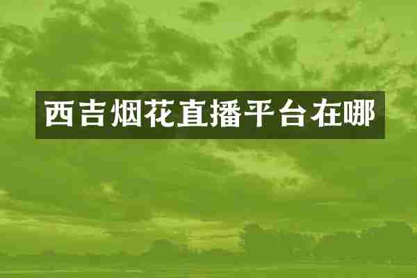西吉烟花直播平台在哪