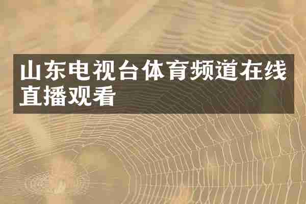 山东电视台体育频道在线直播观看