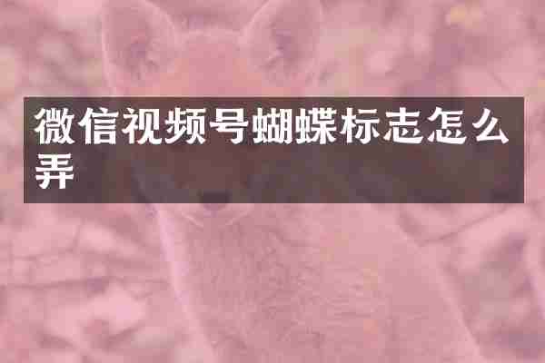 微信视频号蝴蝶标志怎么弄