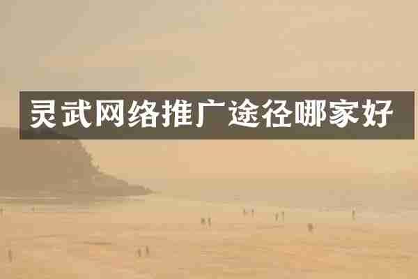 灵武网络推广途径哪家好