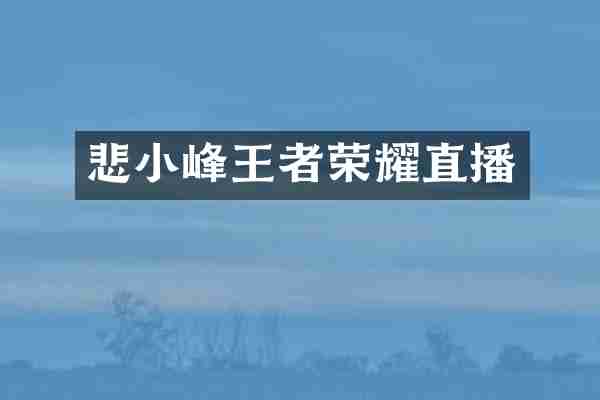 悲小峰王者荣耀直播